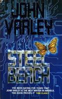 Steel Beach