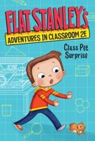 Flat Stanley Adventures in Classroom 2E