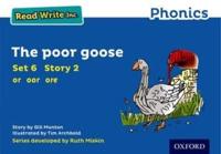 The Poor Goose
