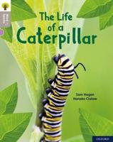 The Life of a Caterpillar