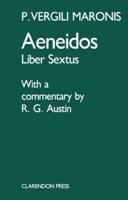 Aeneidos, Liber Sextus
