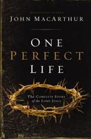 One Perfect Life