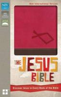 Jesus Bible-NIV