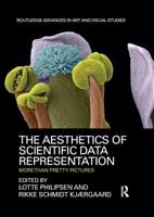 The Aesthetics of Scientific Data Representation