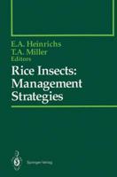 Rice Insects