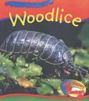 Woodlice