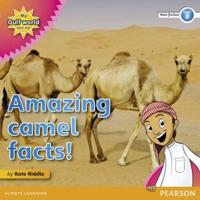 Amazing Camel Facts!