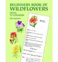 Beginners Book of Wildflowers