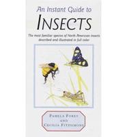 An Instant Guide to Insects