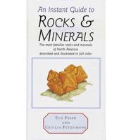 An Instant Guide to Rocks & Minerals