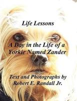 A Day in the Life of a Yorkie Named Zander