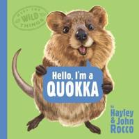 Hello, I'm a Quokka