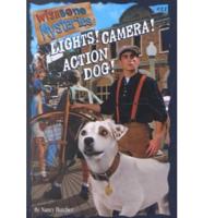 Lights! Camera! Action Dog!