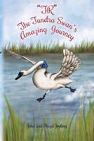 "TR" The Tundra Swan's Amazing Journey