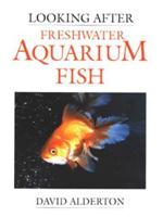 Looking After Freshwater Aquarium Fish