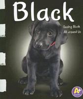 Black: Seeing Black All Around Us