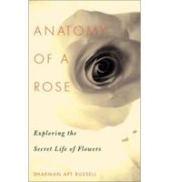 Anatomy Of A Rose