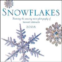 Snowflakes 2008