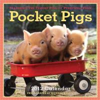Pocket Pigs 2012 Calendar