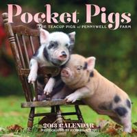 Pocket Pigs 2013 Wall Calendar