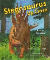 Stegosaurus Up Close
