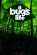 A Bug's Life