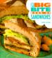 The Big Bite Book of Sandwiches