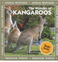 The Wonder of Kangaroos