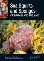 Sea Squirts and Sponges of Britain and Ireland
