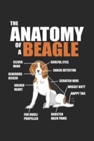 The Anatomy Of A Beagle