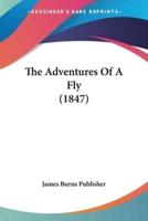 The Adventures Of A Fly (1847)