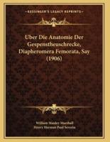 Uber Die Anatomie Der Gespenstheuschrecke, Diapheromera Femorata, Say (1906)