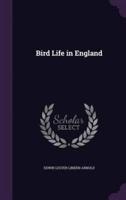 Bird Life in England