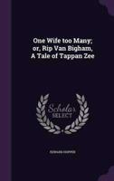 One Wife Too Many; or, Rip Van Bigham, A Tale of Tappan Zee