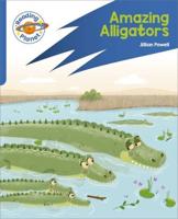 Amazing Alligators
