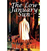 The Low January Sun