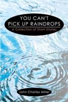 You Can't Pick Up Raindrops