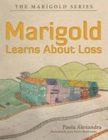 Marigold Learns About Loss: The Marigold Series