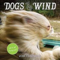 2016 Dogs in the Wind Wall Calendar