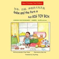 Gabe and the Park & His BIG TOY BOX (NEW Simplified ONLY)