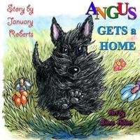 Angus Gets a Home