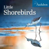 Audubon Little Shorebirds Mini Wall Calendar 2022