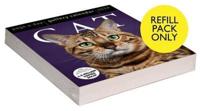Cat Page-A-Day¬ Gallery Calendar Refill Pack 2024