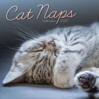 2023 Cat Naps Mini Calendar