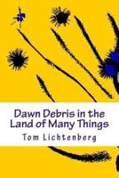 Dawn Debris in the Land of Many Things