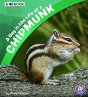 A Day in the Life of a Chipmunk