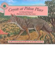 Coyote at Pi Non Place
