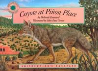 Coyote at Piñon Place