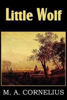 Little Wolf, a Tale of the Western Frontier