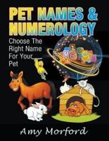 Pet Names & Numerology: Choose the Right Name for Your Pet